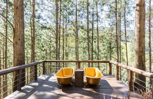 Recanto das Águas - Anitápolis - SC - Photo 49