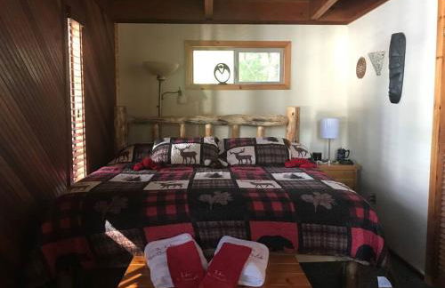 Well-appointed Adirondack cabin directly on 9-mile lake - Foto 69