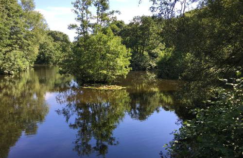 Betty's Cottage - Traditional Norfolk Farm Cottage - Foto 25