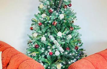 River house - Foto 14