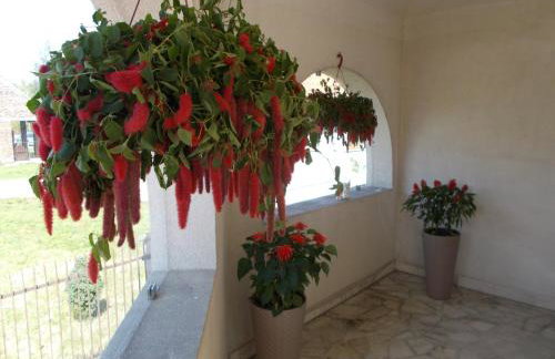 Apartamenty Nad Wisłą - Foto 21