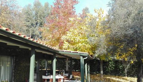 Casas da Tapada Briteiros Casa dos Ficos - Foto 4, Garden