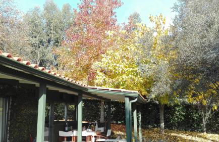 Casas da Tapada Briteiros Casa dos Ficos - Photo 4