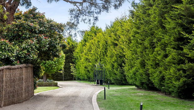 Tranquil Estate With Pool Heated Spa Gardens - Foto 5, Habitación