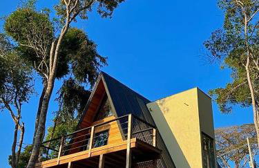 Chalé Alto Padrão SECRETÁRIO - Foto 9