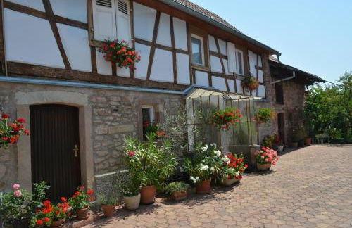 Location Alice - Photo 15