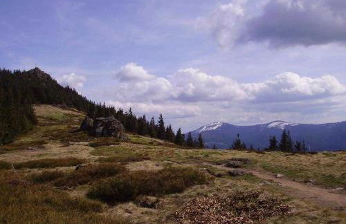 Ferienhaus Meike im Naturpark Bayr - Foto 11