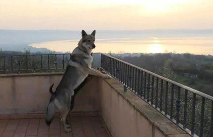 Casale Sant'Egidio - Lago di Bolsena - Foto 24