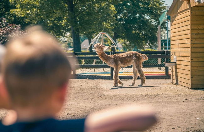 Detached Chalet 30km From Maastricht - Foto 18