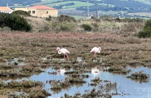 Via Roma House Casetta - Foto 36