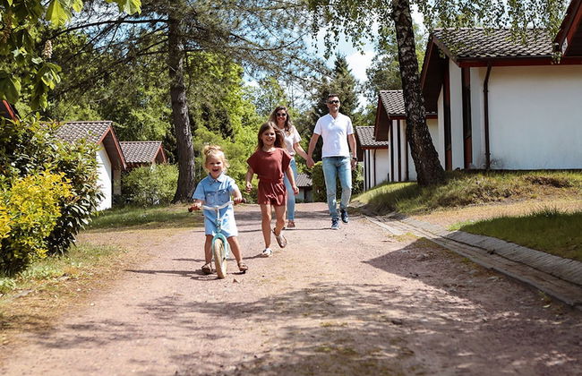 Comfort Sauna 4p in Uelsen - Foto 19