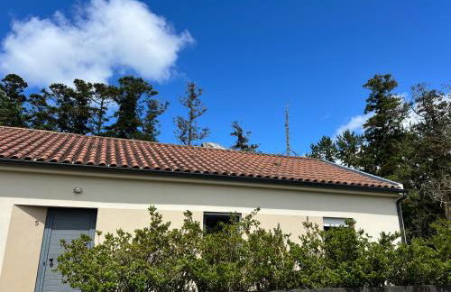 Lakeview Green Paradise - Photo 32