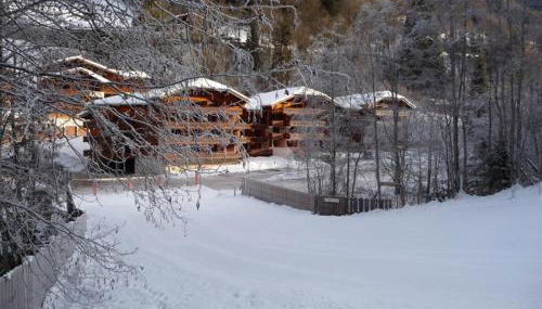 Appartement 4-6 pers au pied des pistes Morzine, animaux admis, parking - FR-1-754-28 - Foto 2