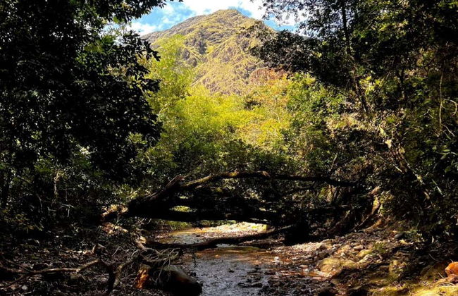 Abseiling in Palermo - Photo 4
