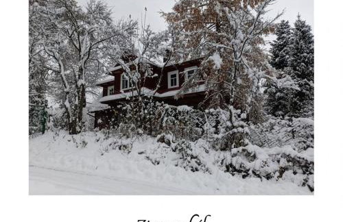 Willa Witówka - Foto 28