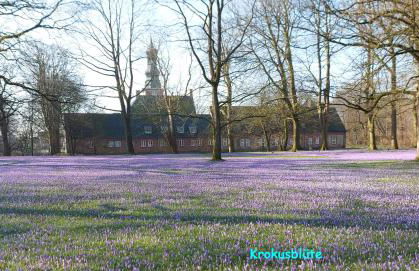Ferienwohnung Ilsebill - Foto 22