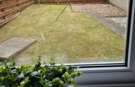 North Coast Property - Number 15 - Foto 7