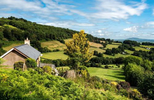 2 Bed in Abergavenny oc-83894 - Foto 31