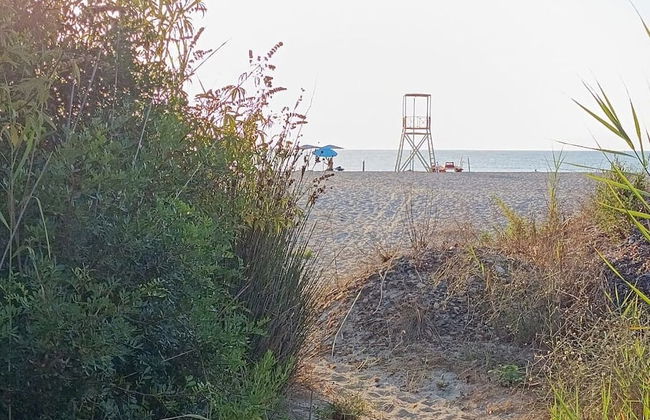 Always on Foot 3 min to the Beach Center With Double Terrace - Photo 24