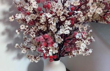 Attico delle Dolomiti - Foto 15