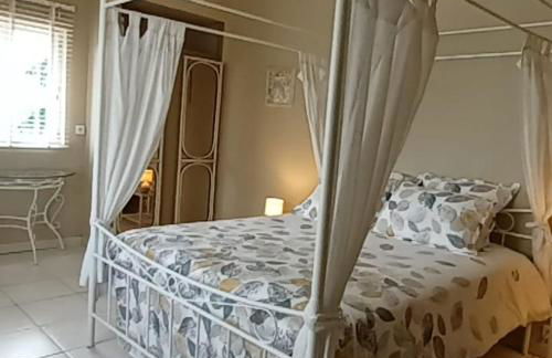 Aux 40 Écus - Gingko - Foto 3