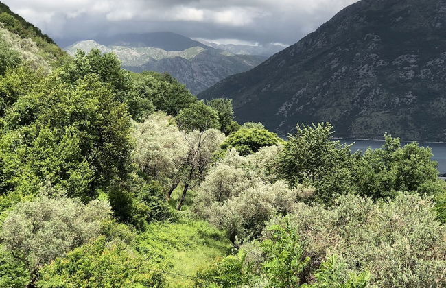 1 Bedroom Apartment With Stunning Views - Foto 16