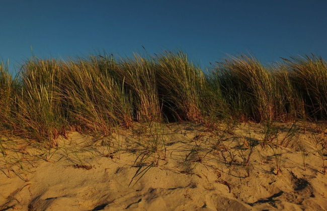 Strandgut Reethus Comfortable Holiday Residence - Photo 9