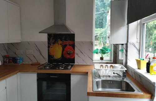 4 bedroom Home Family or Work Stay London - Photo 15