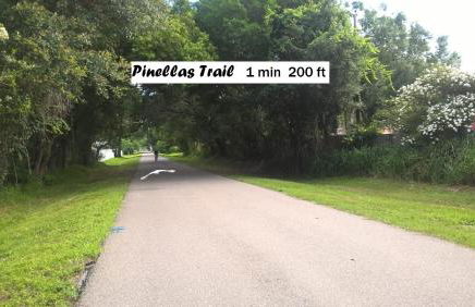 NICE PLACE Studio1 of 2 - Foto 42