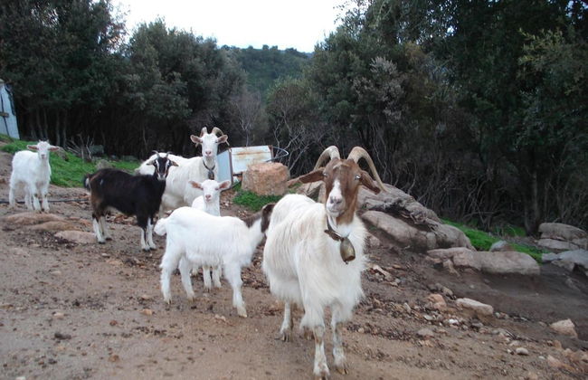 Agriturismo Menhir - Foto 34