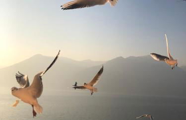 In Riva al Lago di Iseo Residenza Primo Piano - Foto 76