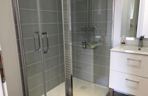 Sancerre Sunflower - Tournesol de Sancerre - Foto 4