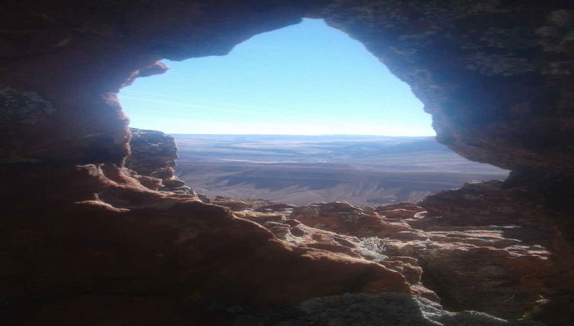 Formación natural del portaretrato
