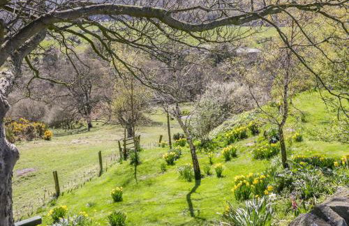 Honey Bee Cottage - Foto 17