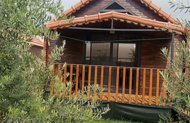 Riviera Bungalow Evleri Demre - Photo 63