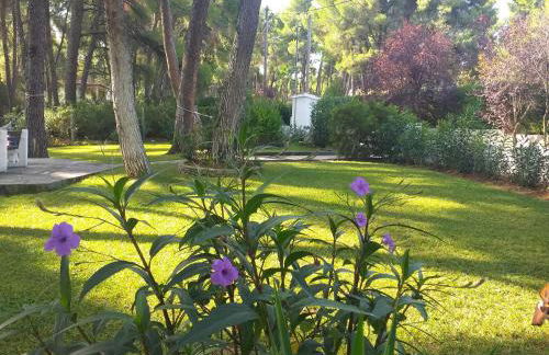 Sani villa of traditional architecture - Foto 34