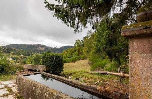 Gîte chaleureux dans les Vosges avec cheminée - FR-1-583-437 - Foto 21