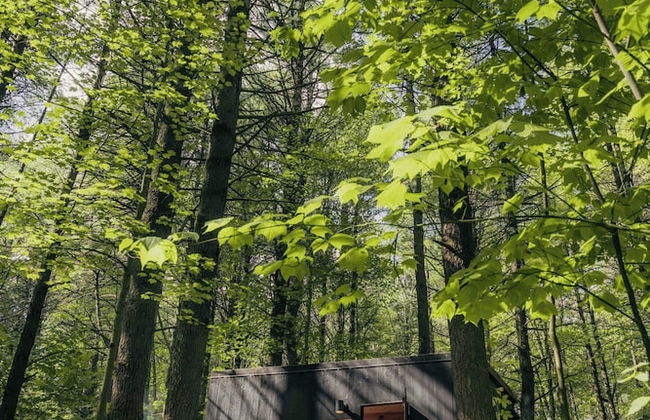 Postcard Cabins Barber Creek, Outdoor Collection by Marriott Bonvoy - Photo 59