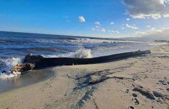 Maison de vacances avec piscine proche mer et montagne - Foto 30
