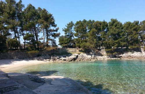 Galboka Nine - Foto 6