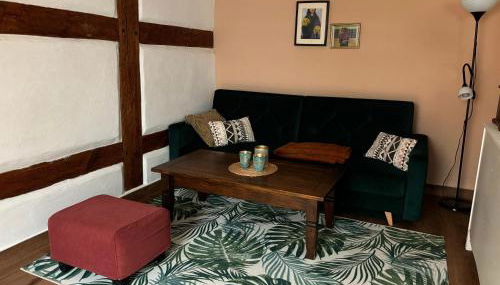 Altstadt & See & Garten Haustiere willkommen - Foto 4