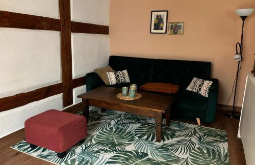 Altstadt & See & Garten Haustiere willkommen - Foto 4