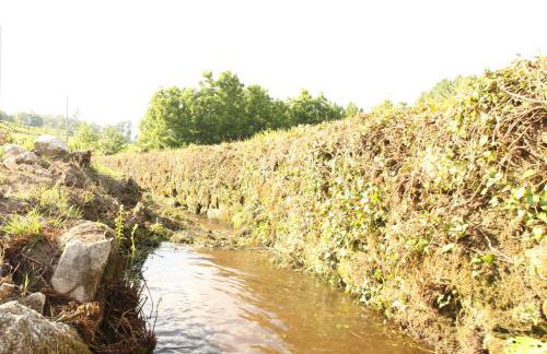 Quinta d'Areda Wine&Pool Experience - Foto 31