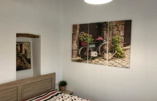 BIO Garden Stonehouse - Foto 19