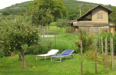 Alloggio Gran Paradiso - Photo 14