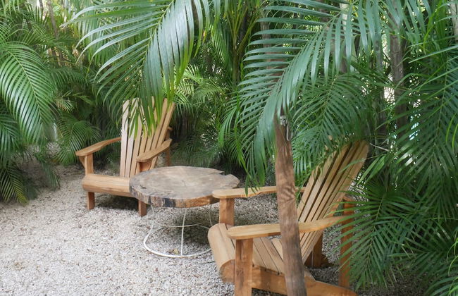 Cote Pacific Casitas - Photo 13