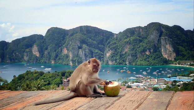 Phi Phi Islands & Maya Bay Day Trip - Photo 5