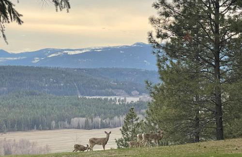 Living Well Lodge with Panoramic Views - Foto 40