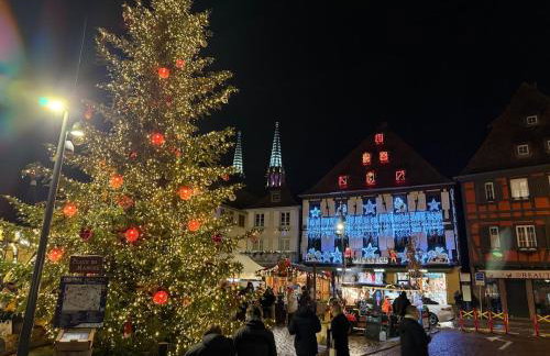 L'écrin d'Anne et Stéphane - vue sur Strasbourg - Foto 63