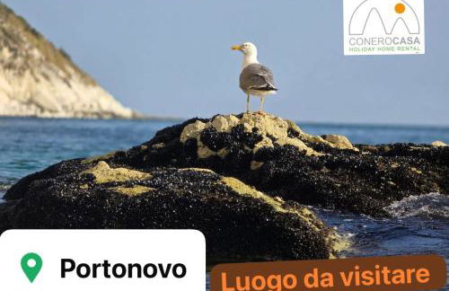 Conero Casa - Marcelli di Numana in Piazzale Tremiti 7 con Parcheggio Esclusivo - Photo 24